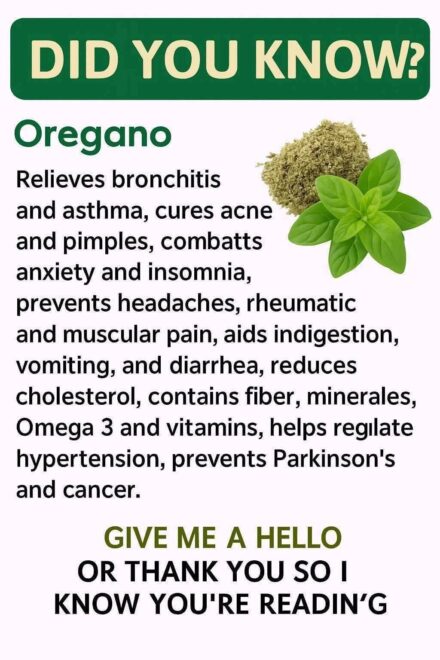 Oregano: The Small Plant with Big Health Benefits
