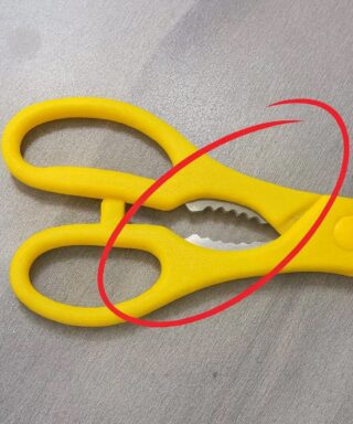 What’s That Strange Toothy Part on Kitchen Scissors For?
