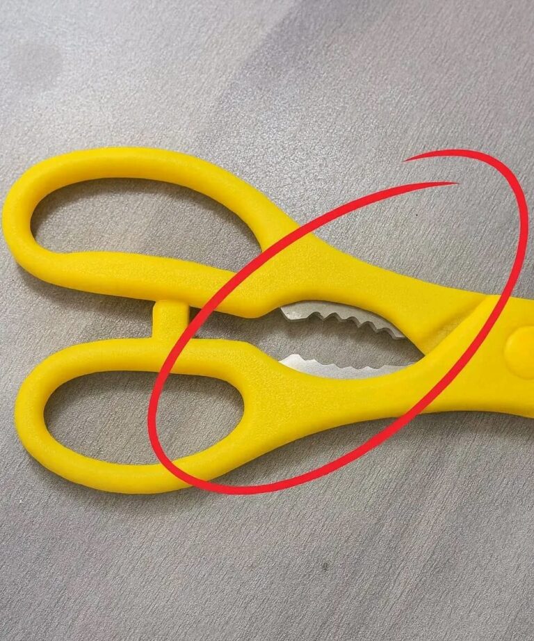 What’s That Strange Toothy Part on Kitchen Scissors For?