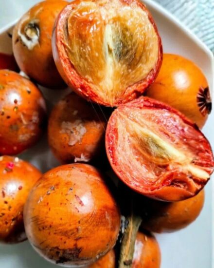 African Star Apple (Udara): Health Benefits, Uses, and Nutritional Value