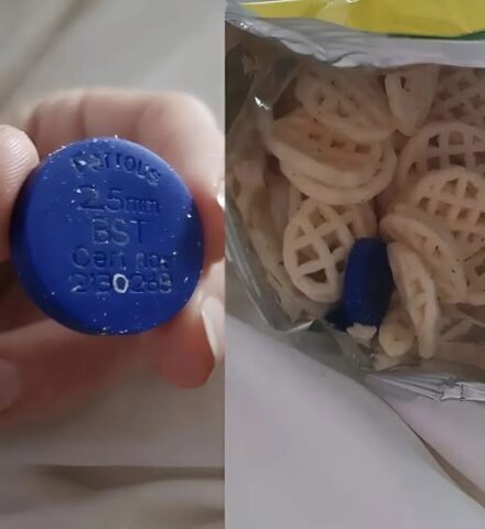 We Found a Strange Blue Object Inside a Sealed Bag of Chips, Triggering Online Alarm, Investigation, and Relief After Discovering the Unexpected Truth Behind a Factory Safety Device Meant to Protect Consumers but Rarely Seen Outside Manufacturing Lines during routine quality checks worldwide daily operations