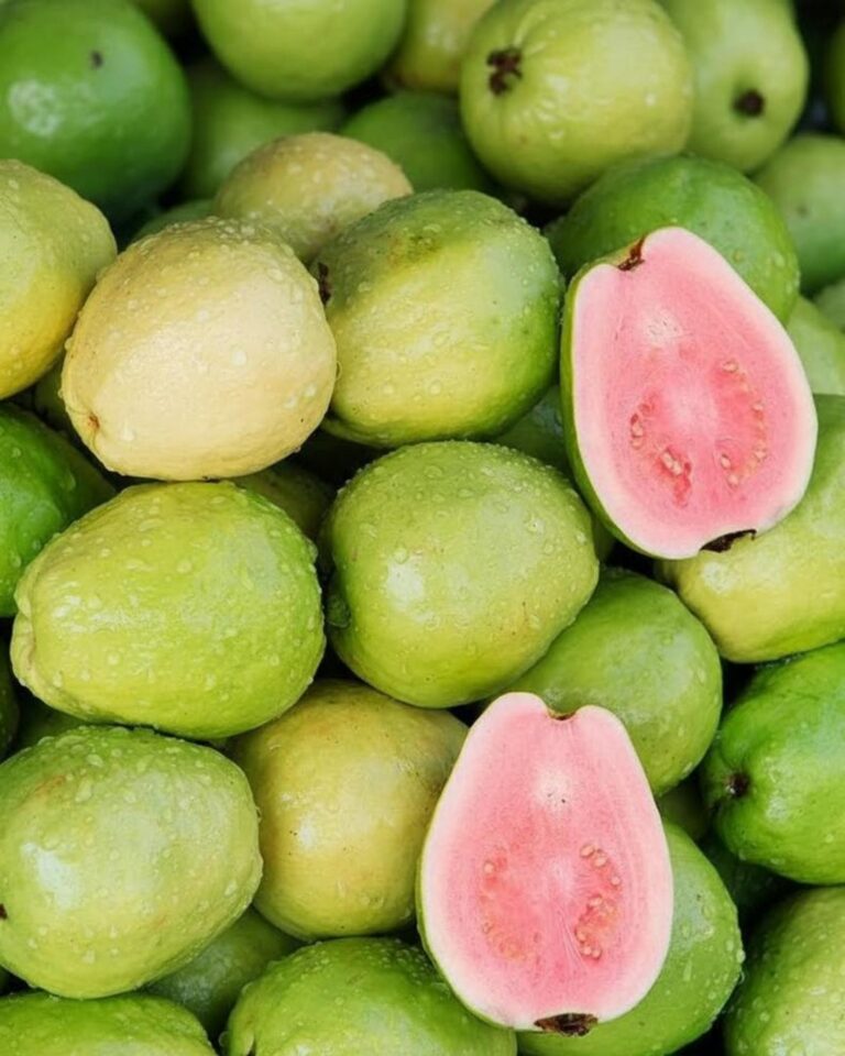 Eating Guava Can Cause Powerful Changes in Your Body
