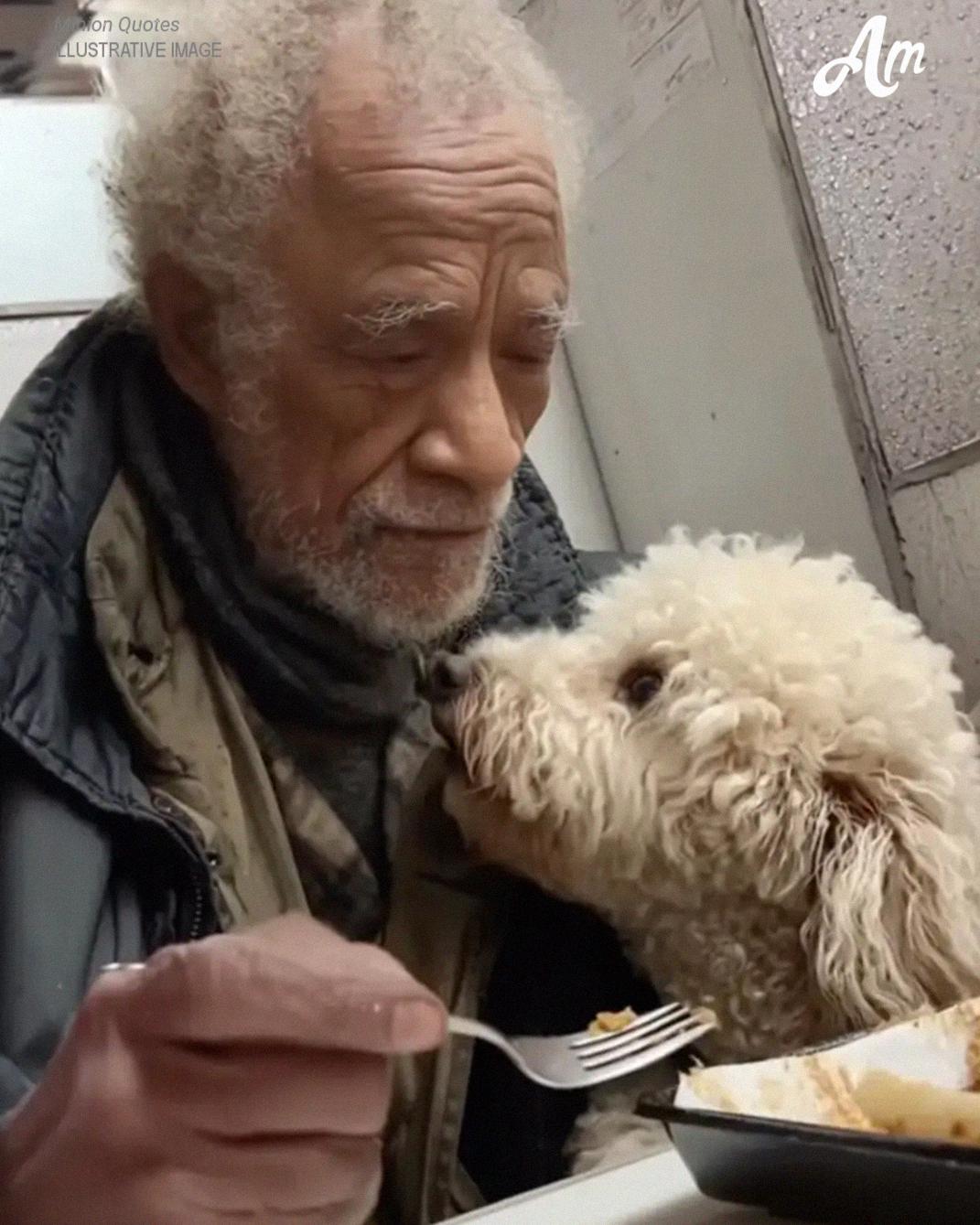 I Gave a Free Dinner to a Broke Old Man – the Next Morning, Something on My Door Made My Heart Stop