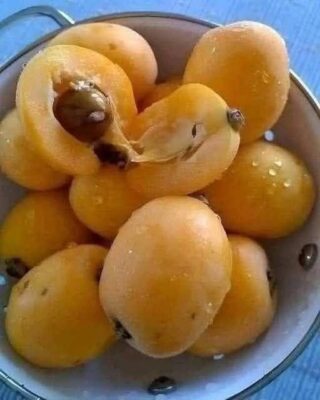 Traditional Apricot (Mishmish) Jam