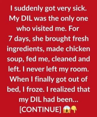 The Day My Daughter-in-Law Showed Me What True Care Looks Like