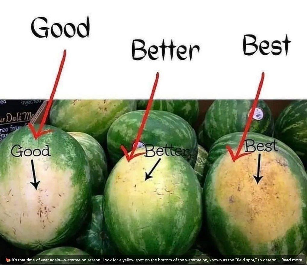 The Art of Selecting the Perfect Watermelon: A Guide to Sweetness and Ripeness