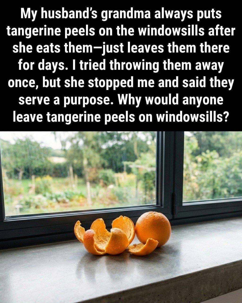 Don’t Toss Those Tangerine Peels—Put Them on Your Windowsills Instead