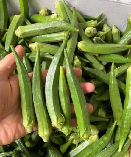 Experts Explain Why Okra Might Be Good for Your Health