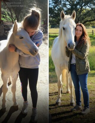 My Husband Sold My Horse While I Was Away – When I Overheard the Real Reason, I Went to War with Him