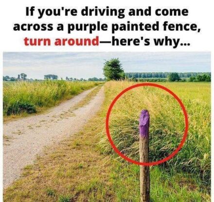 If You See a Painted Purple Fence