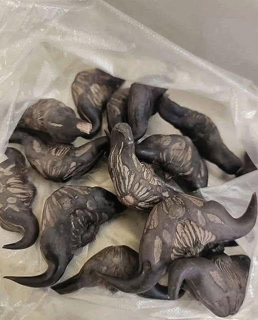 My neighbor gave me a bag of these, anyone know what they are? How do you eat them?