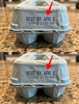 What the Numbers on Your Egg Carton Really Mean — And Why Ignoring Them Could Make You Sick