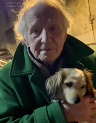 A Homeless Man Asked Me to Take Care of His Dog – Two Months Later, I Got a Letter That Left Me Speechless