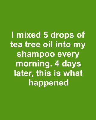 I mixed 5 drops of tea tree oil into my shampoo every morning. 4 days later, this is what happened.