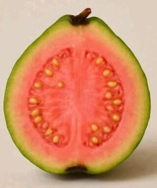 Doctors REVEAL that guava leaf tea causes in…