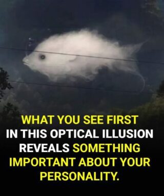 What you see first reveals something important about your personality! Find out in the first comment.