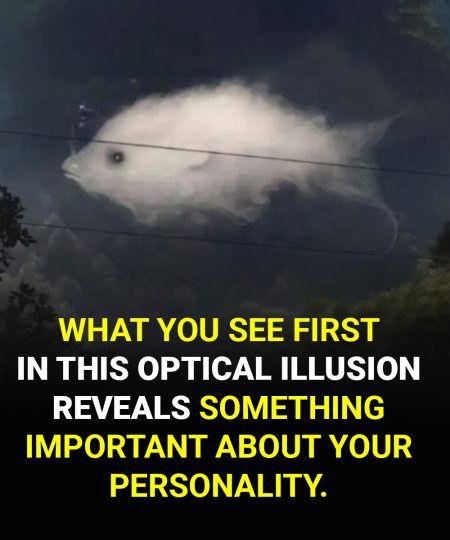 What you see first reveals something important about your personality! Find out in the first comment.