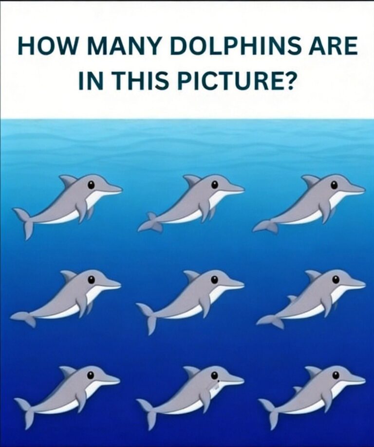Can You Spot All the Dolphins in This Picture? How Many Dolphins Do You Really See?