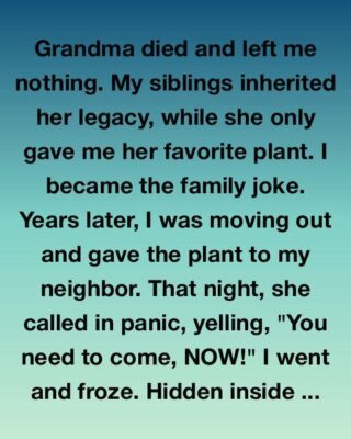 A Simple Houseplant’s Surprising Story of Survival and Time