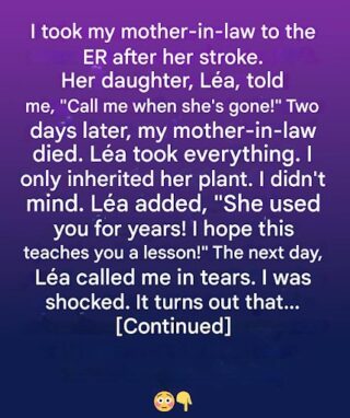 ADVERTISEMENT 🌸 An Unexpected Heirloom: The Hidden Value of a Humble Flowerpot