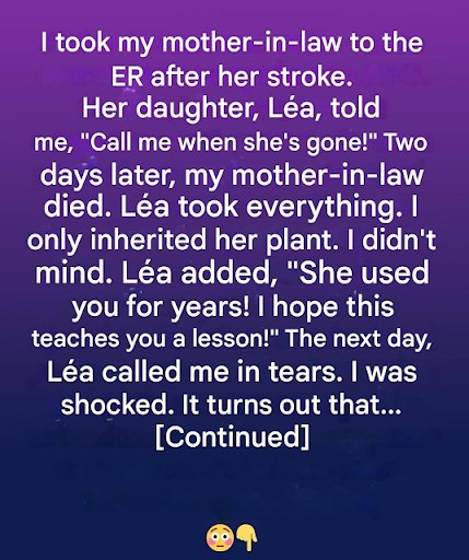 ADVERTISEMENT 🌸 An Unexpected Heirloom: The Hidden Value of a Humble Flowerpot