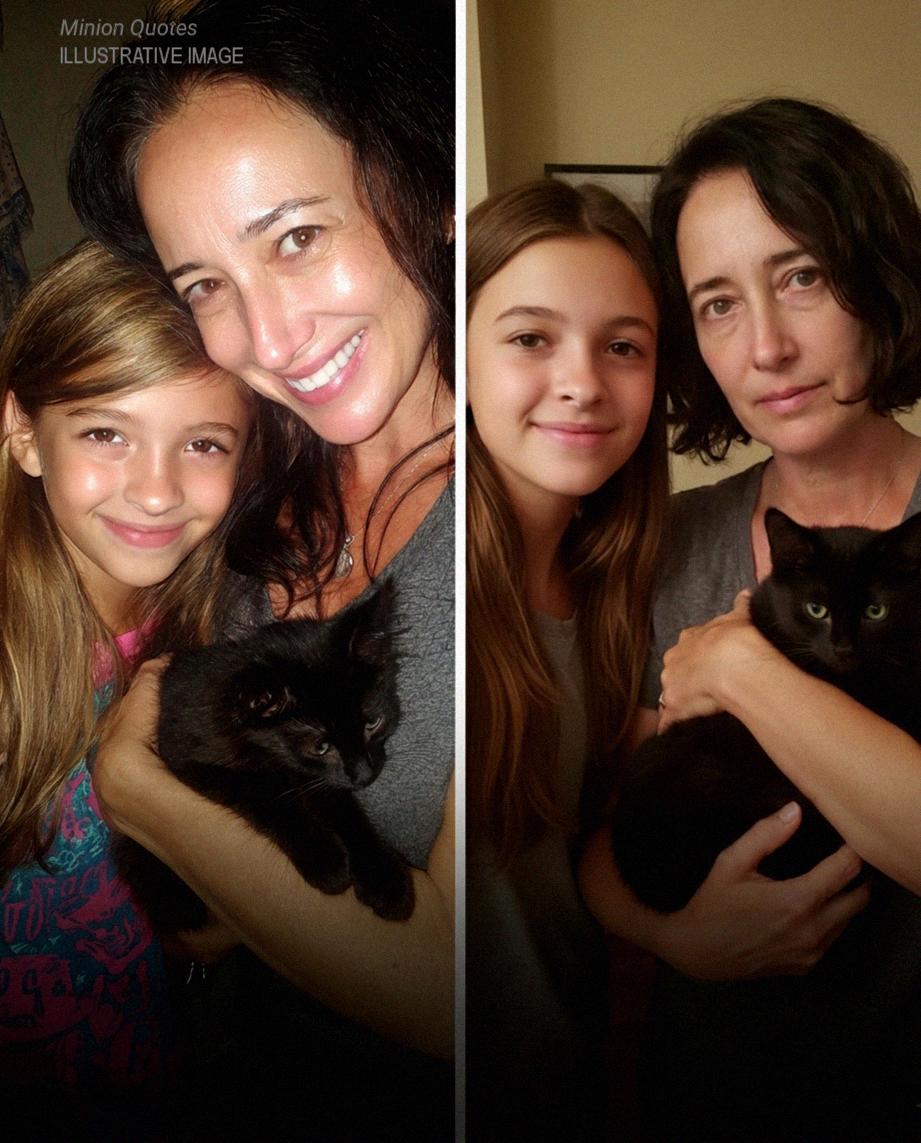 My Mom’s Cat Vanished After Her Funeral – on Christmas Eve, He Returned and Led Me Somewhere I Never Expected