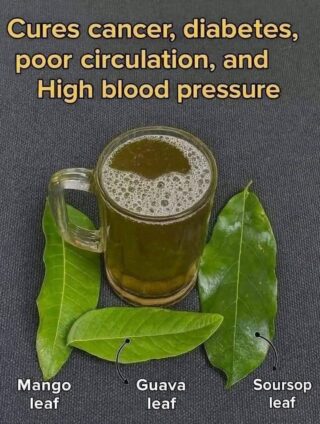 THE FOUR LEAVES THAT ELIMINATE DIABETES, CANCER, FATTY LIVER PROBLEMS