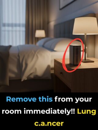 Indoor Air Quality: 6 Common Household Items That May Affect Your Lungs — And How to Use Them Safely