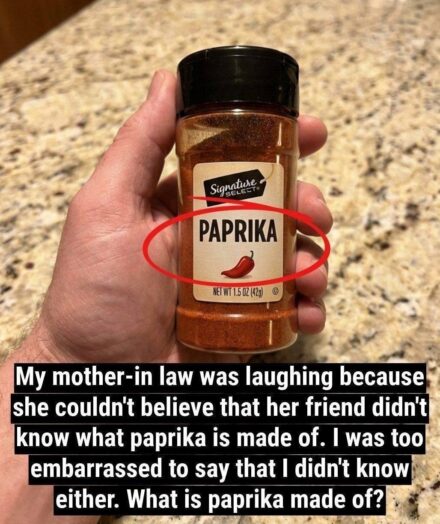 What Is Paprika Made Of? The Truth Behind the Spice Tha