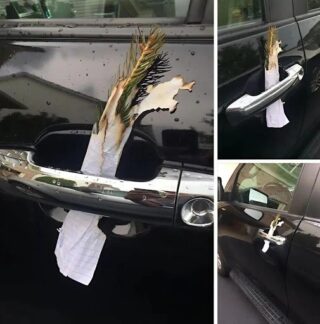 When I went out to my car this morning, my heart literally sank. There was a charred pine branch stuck in the door handle, wrapped in a crumpled piece of paper. It was black and brown, as if it had been deliberately set on fire, then extinguished—and all of it had been stuffed into my door.