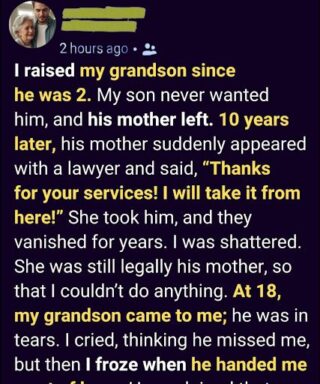She Took My Grandson Away After I Raised Him — Years Later, He Returned Changed