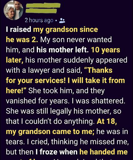 She Took My Grandson Away After I Raised Him — Years Later, He Returned Changed