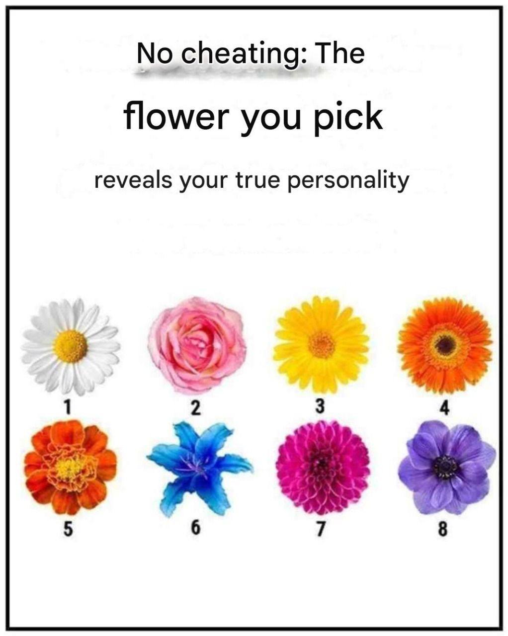 No chatter — the flower you pick reveals your true character trait