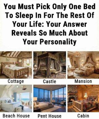 You Must Pick Only One Bed to Sleep In for the Rest of Your Life — Your Choice Reveals More Than You Think.