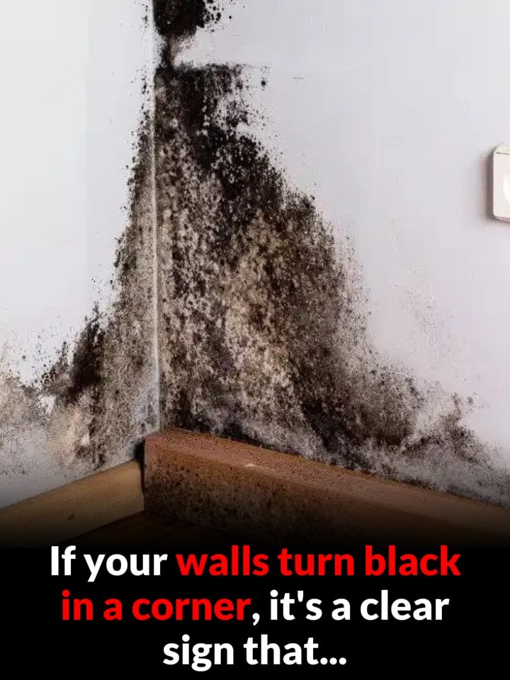 If your walls are turning black in a corner, it’s no accident: find out what it really means (and how to fix it)