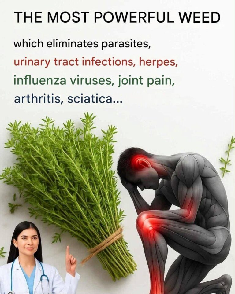 The Most Powerful Herb: Thyme’s Health Benefits and Simple Recipes to Try