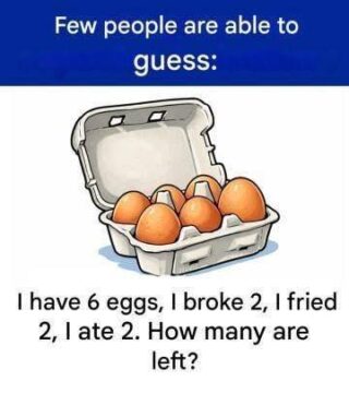 This egg-related enigma has left more than one perplexed