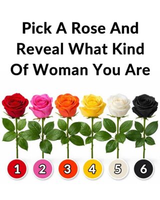 Pick a Rose and Reveal What Kind of Woman You Are