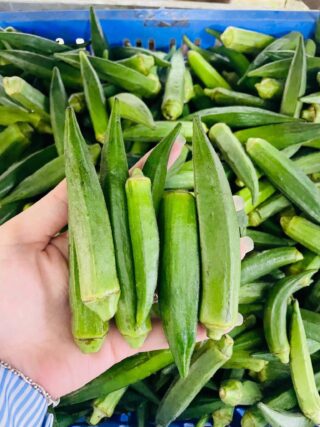 Is Okra Good for People With Diabetes? Benefits, Risks, and How to Eat It Right