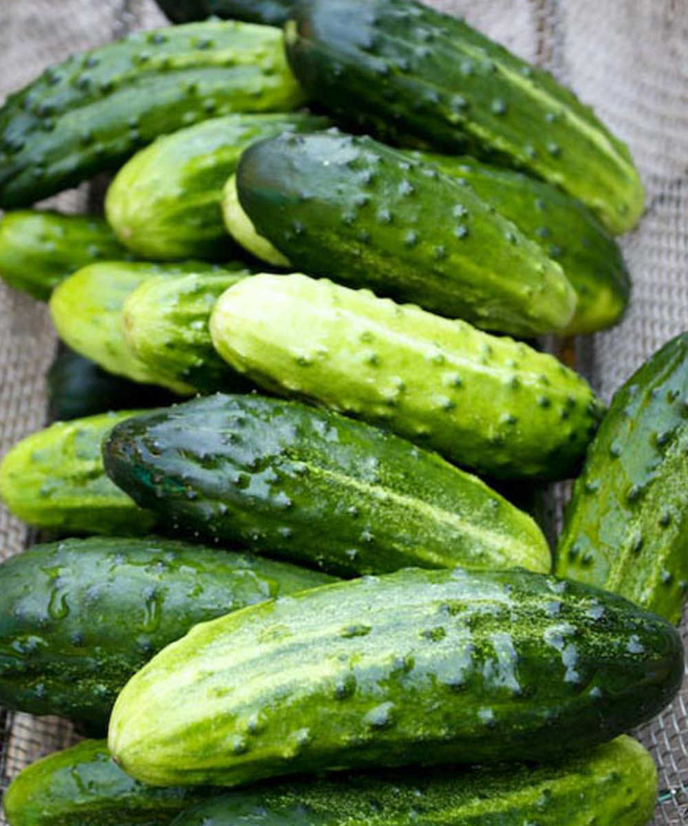 eating cucumber in salads causes…