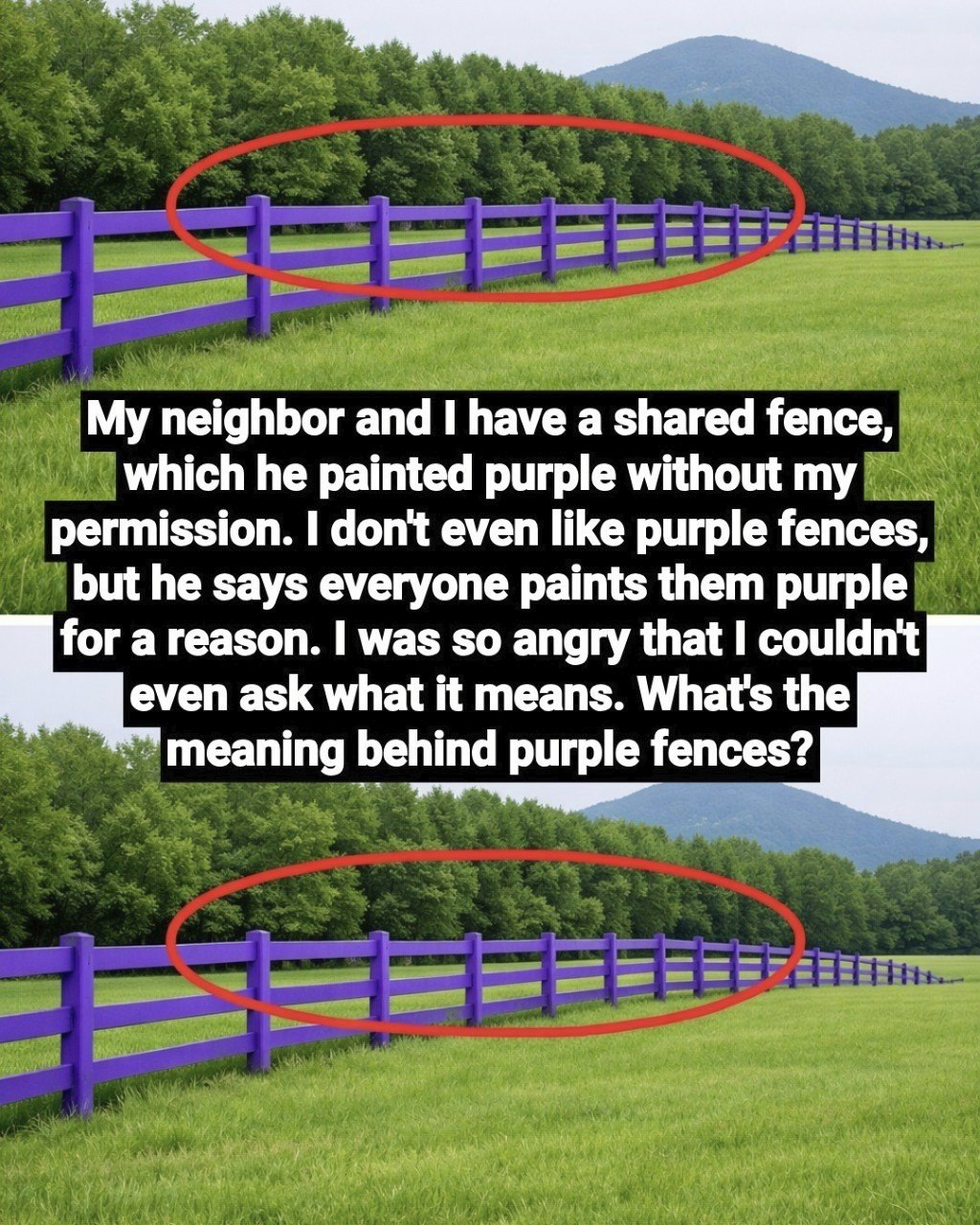 If You See a Purple Fence or Tree Mark—Stop Immediately. Here’s What It Really Means