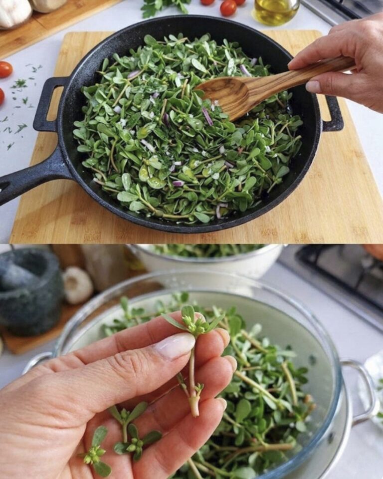 Purslane: The Superfood That Tastes Better Than Meat – 7 Reasons to Grow It in Your Garden