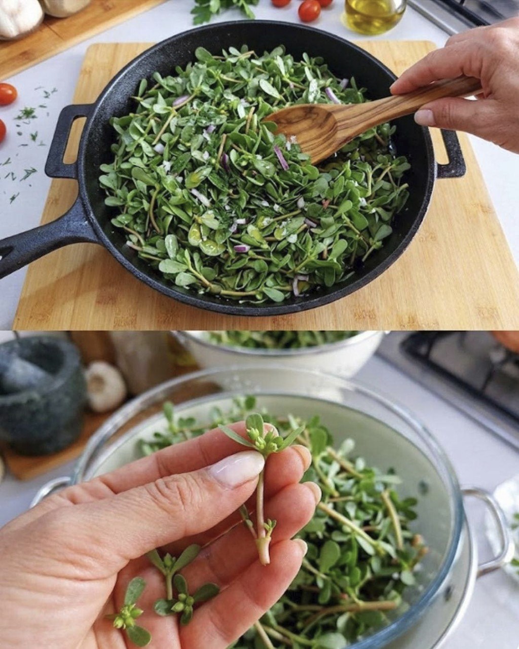Purslane: The Superfood That Tastes Better Than Meat – 7 Reasons to Grow It in Your Garden