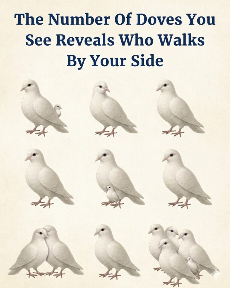 The Meaning Behind Seeing Doves in Your Surroundings