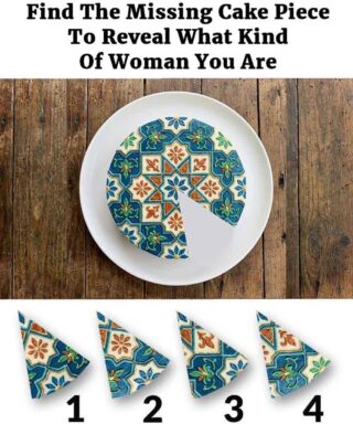 Find The Missing Cake Piece To Reveal What Kind Of Woman You Are 012
