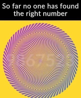 Can You Spot the Hidden Number in This Optical Illusion?