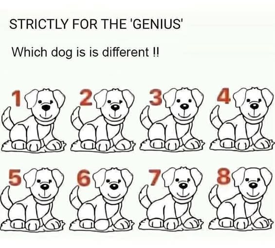 Search Results for: Most People Fail: Can You Spot Which Dog Is Different?