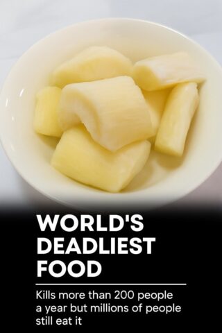 Over 200 People Are Killed by the “World’s Deadliest Food” Every Year — Yet Nearly 500 Million Still Eat It