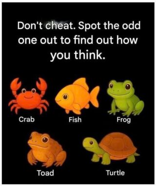 Don’t Che.at. Pick The Odd One Out To See How ‘Difficult’ You Really Are