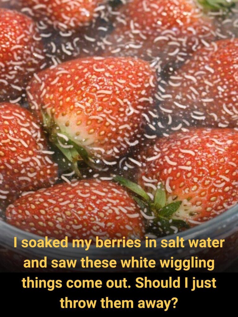 Why Tiny White Worms Appear in Strawberries and What You Should Do